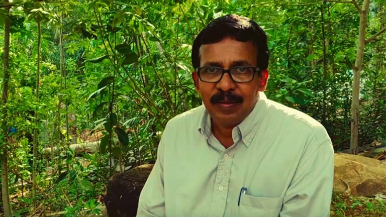 Kerala man grows miyawaki forest
