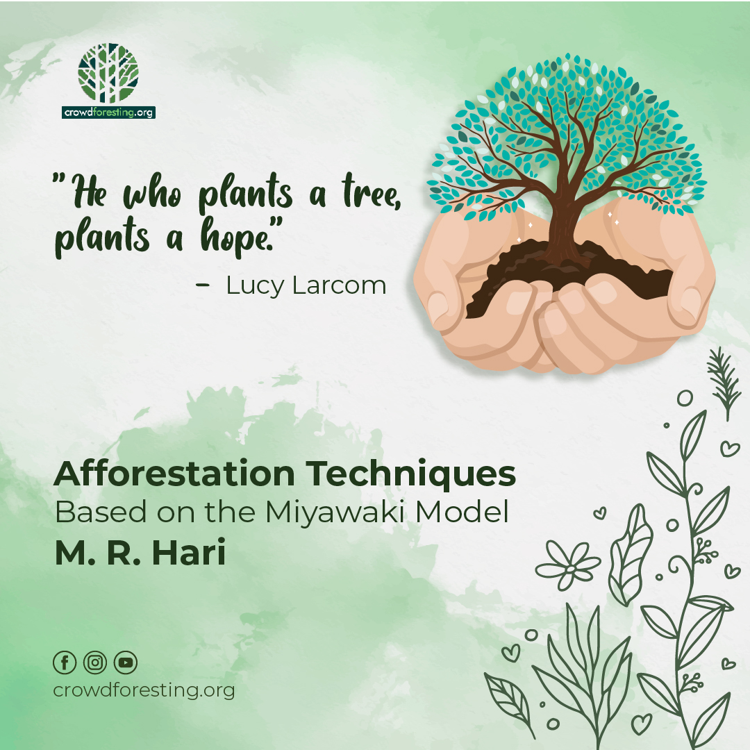 Miyawaki, Afforestation Techniques, Planting trees
